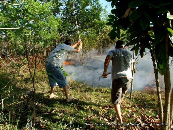 Funcion&aacute;rios da prefeitura agiram r&aacute;pido e conseguiu debelar o incendio