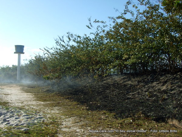 O fogo seguiu beirando a cerca e at&eacute; chegar em uma &aacute;rea j&aacute; com vegeta&ccedil;&atilde;o bem fechada e piso de grama esmeralda