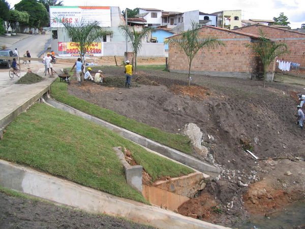 Paisagismo na Av. Norte Sul no Bairro Centauro