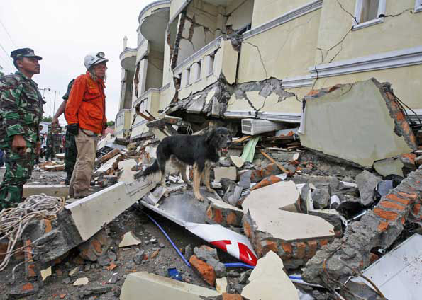 Equipes de resgate utilizam c&atilde;es para procurar feridos ou corpos presos sob os escombros. (Foto: Dita Alangkara/AP Photo)