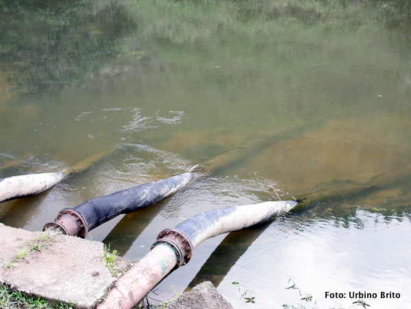 Mangotes que ficam dentro do Rio Buranh&eacute;m onde &eacute; captada a &aacute;gua