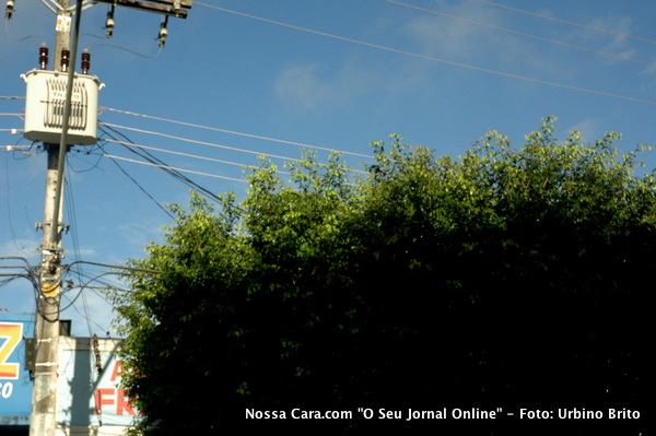 Aqui nesta foto n&atilde;o demora a Coelba podar a &aacute;rvore como sempre tem feito por causa dos fios da rede el&eacute;trica