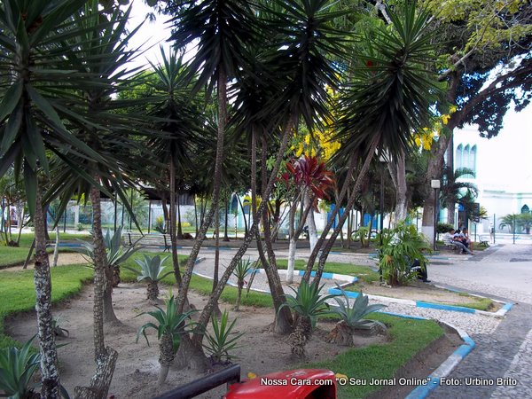 Aqui falta a grama e as plantas apresentam aspecto de falta de irriga&ccedil;&atilde;o