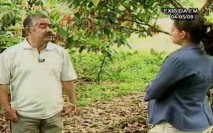 Técnico da Ceplac explica a repórter quias os procedimentos corretos