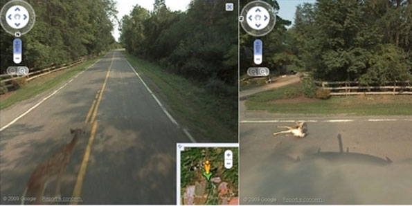 Imagens do atropelamento chegaram a ser publicadas no site de mapas do Google. (Foto: Reprodu&ccedil;&atilde;o)