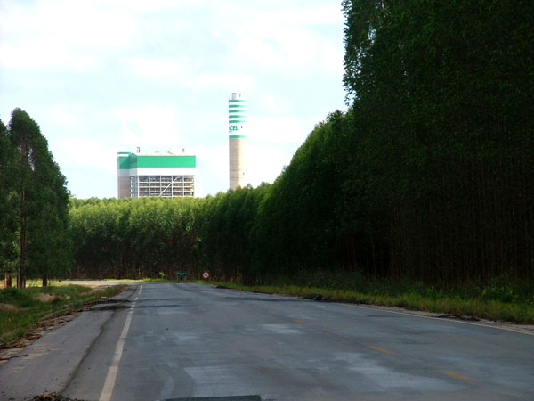 Rodovia BA 275, cercada eucalipto e ao fundo a torre da f&aacute;brica