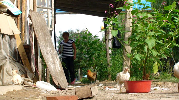Galinhas ciscando na frente de casa da aldeia de Huai Bei, ao norte de Pequim - Rodrigo Bertolotto/UOL
