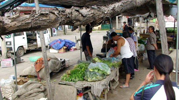 Na feira de produtores na vila, barracas s&atilde;o montadas com troncos e toldos rasgados - Rodrigo Bertolotto/UOL