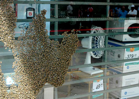 Foto: Renoir Sampaio/ Zero Hora/ Ag. RBS