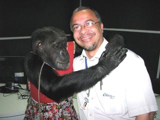 Quem diria meu amigo PH, tá com a macaca será que é amor a primeira vista?