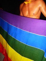 Bandeira gay e Show de Transex