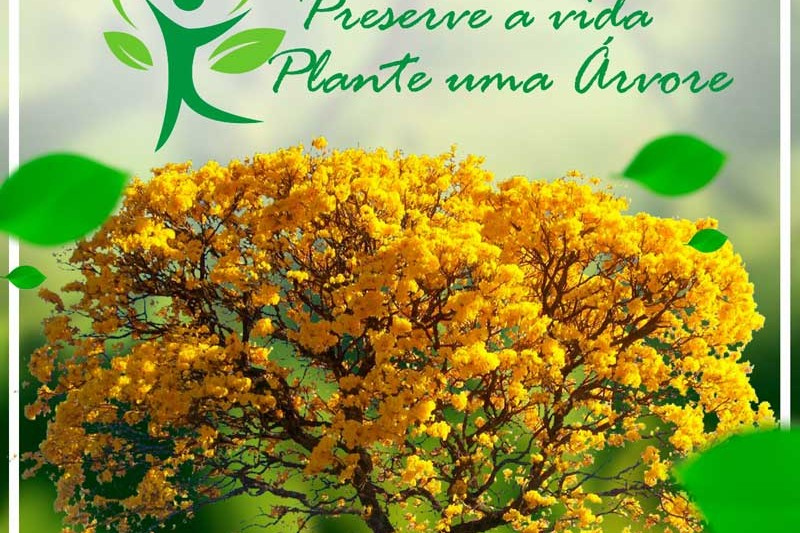 Foto: Secom/PME