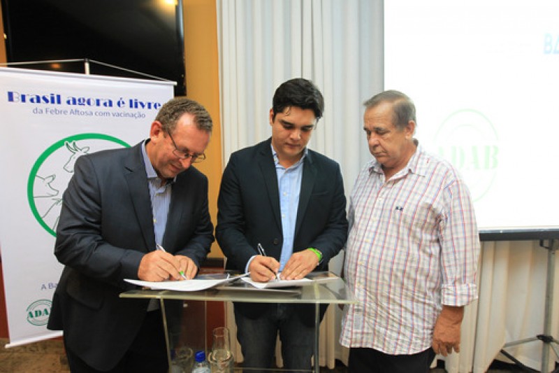 Foto: Carol Garcia/GOVBA