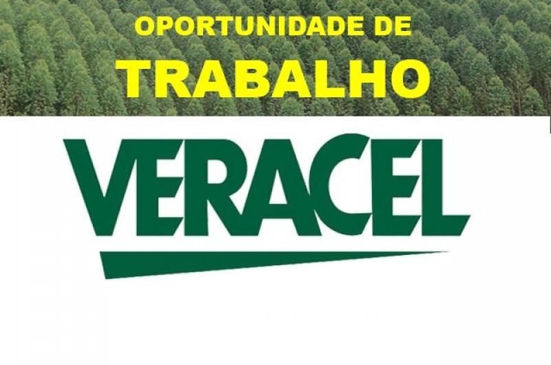 Foto: Montagem / Redação