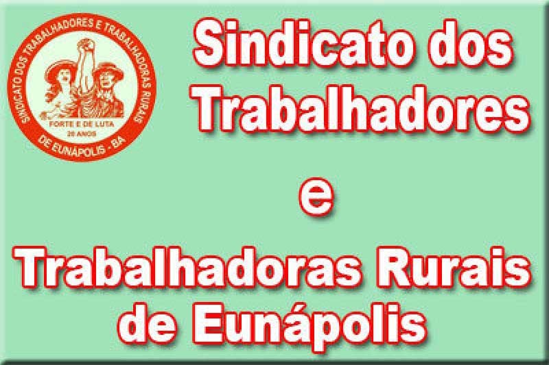 Foto: Montagem / Redação