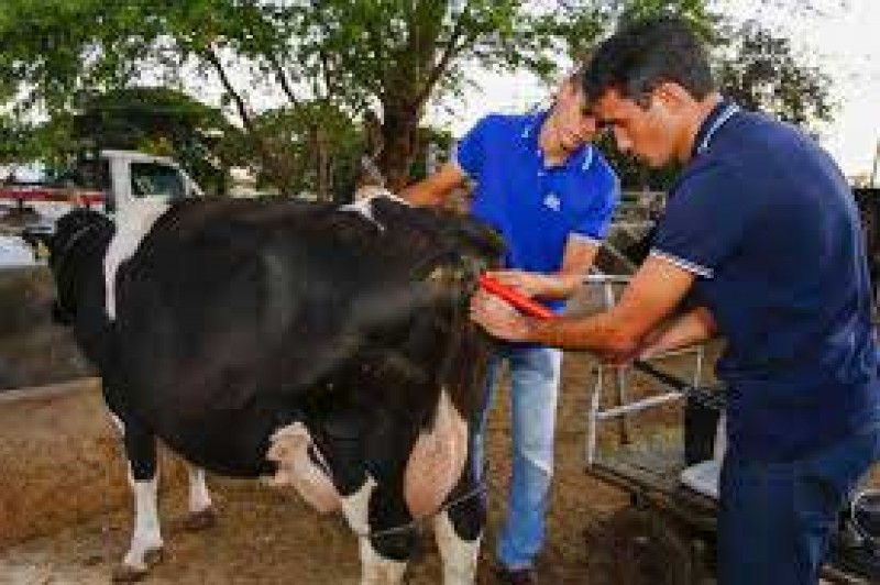 Foto: Ascom / SEBRAE