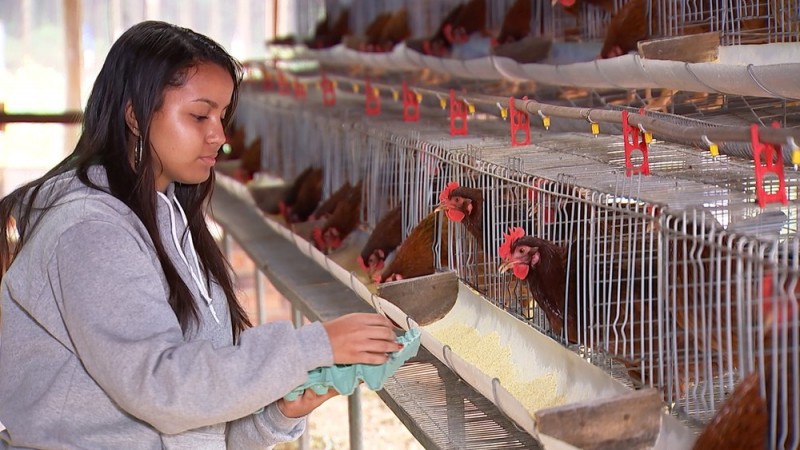 Foto: Reprodução/TV TEM - Abertas as inscrições para curso técnico gratuito em agronegócio com 160 vagas