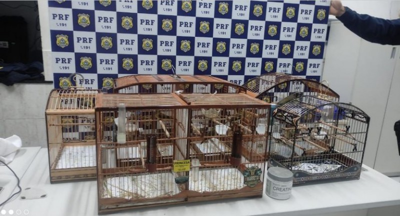 Foto: Ascom / PRF - BA