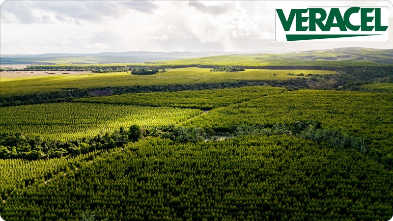 Foto: Ascom / VERACEL