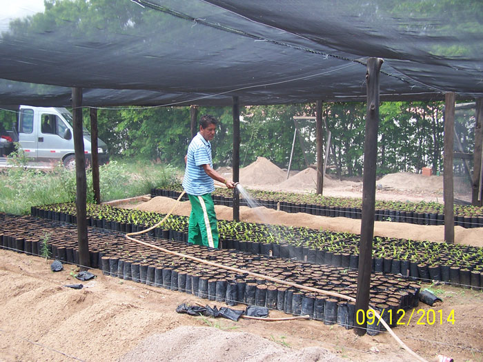 Dary Rigueira/Conserva��o Internacional