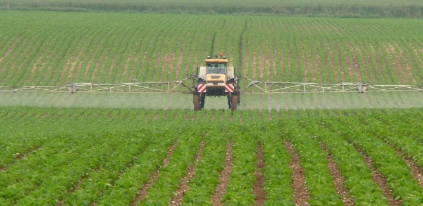 Pesquisa do IBGE mostra ainda que os produtos classificados como perigosos s�o os mais vendidos no pa�s (64,1%)