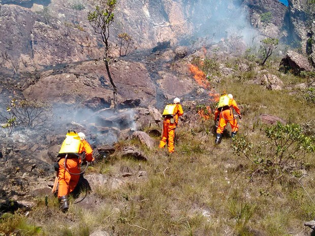 Bombeiros e brigadistas atuam no combate ao fogo no Pico das Almas, em Rio de Contas, neste sábado (4) (Foto: Bombeiros Militares da Bahia/ Divulgação)