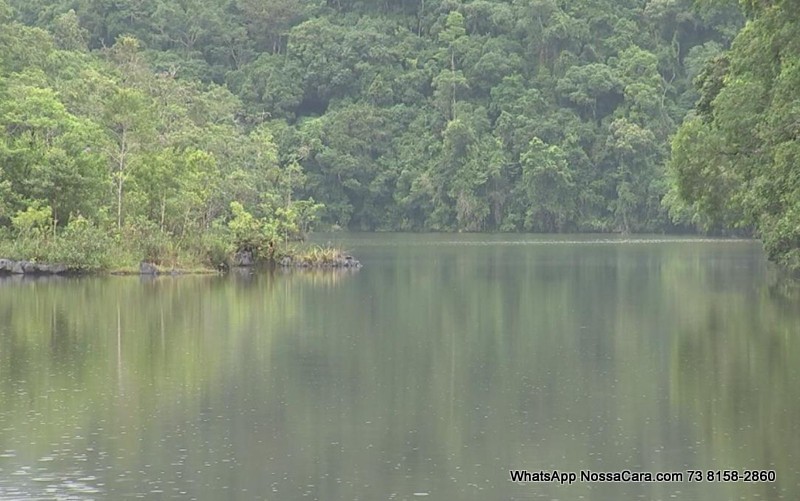 Parque de preservação é Patrimônio da Humanidade pela Unesco (Foto: Reprodução/ TV TEM)