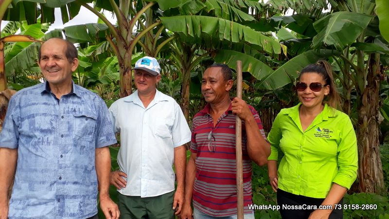 Da es/direita Aliomar Bitencourt (sec. Agricultura de Porto Seguro), Ailson Moronai um dos agricultores familiar, Ronilson Rodrigues (pres. Aprunve) e a engenheira agronoma Mariah Maria