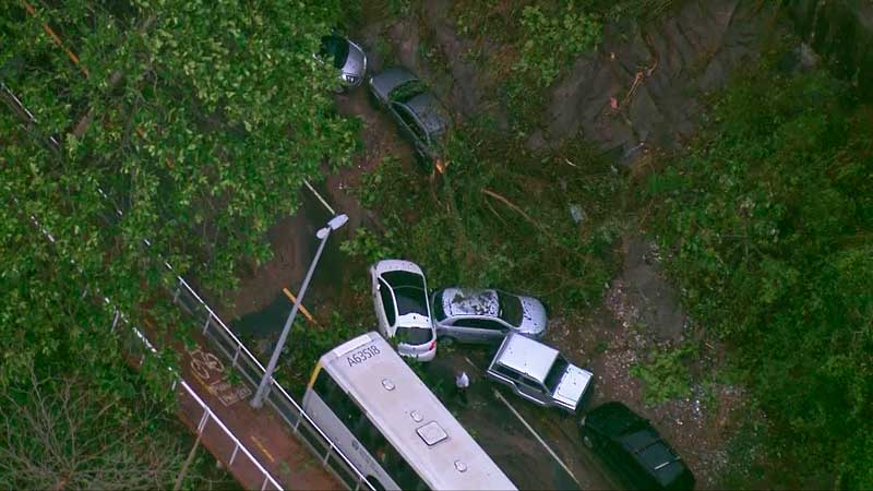 Árvores caíram em trecho da Avenida Niemeyer - Foto: Reprodução/TV Globo