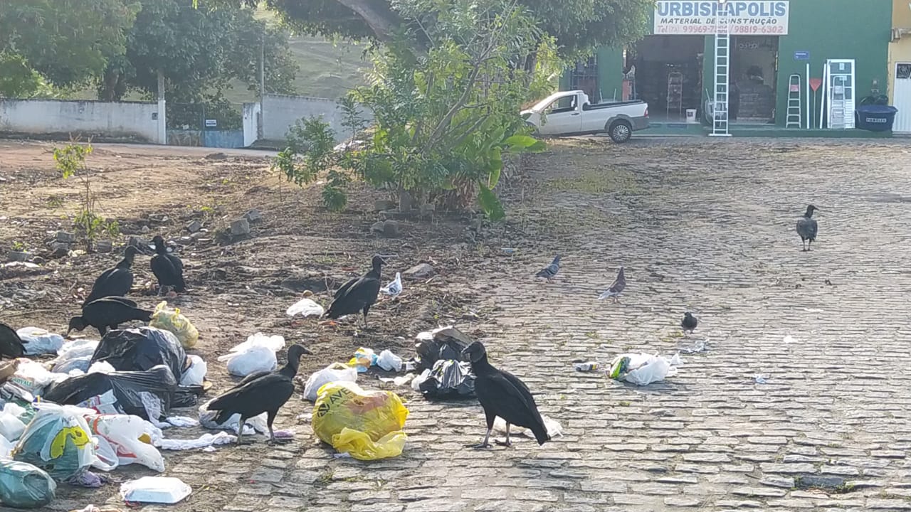 Evite jogar lixo na rua. Isso é uma agressão ao meio ambiente - Foto: Sucom / PME